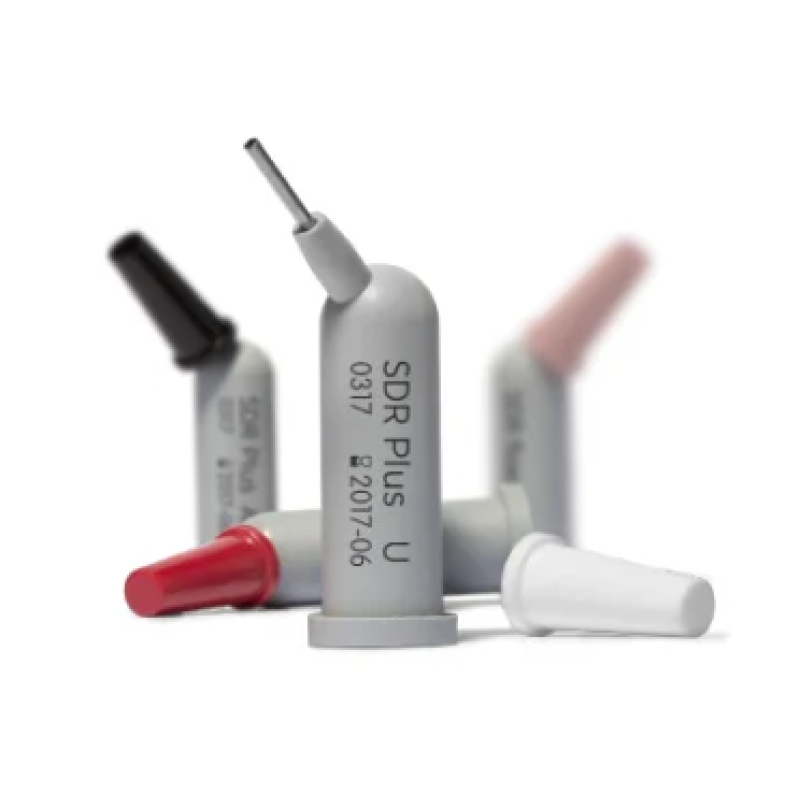 SDR Plus Universal, замінник дентину, 0,25 г