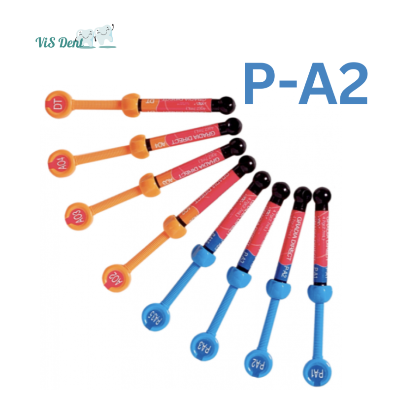 Gradia Direct (Градія Дірект) Posterior4 г P-A2